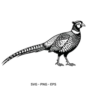 Puede incluir: Una ilustración gráfica en blanco y negro de un faisán de pie de perfil, con patrones de plumas detallados en el cuerpo y una cola larga y delgada. El diseño se presenta como una imagen de estilo vectorial nítida y de alto contraste.