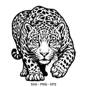 Puede incluir: Una ilustración gráfica en blanco y negro de un leopardo en posición de acecho, con manchas detalladas en todo el cuerpo, ojos enfocados y bigotes prominentes. El texto SVG - PNG - EPS está impreso en negro en la parte inferior.
