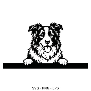 May include: A black and white graphic illustration of a Border Collie dog with its front paws resting on a horizontal line. The dog has a white blaze on its face, pointed ears, and an open mouth with its tongue visible. Text reads SVG - PNG - EPS.