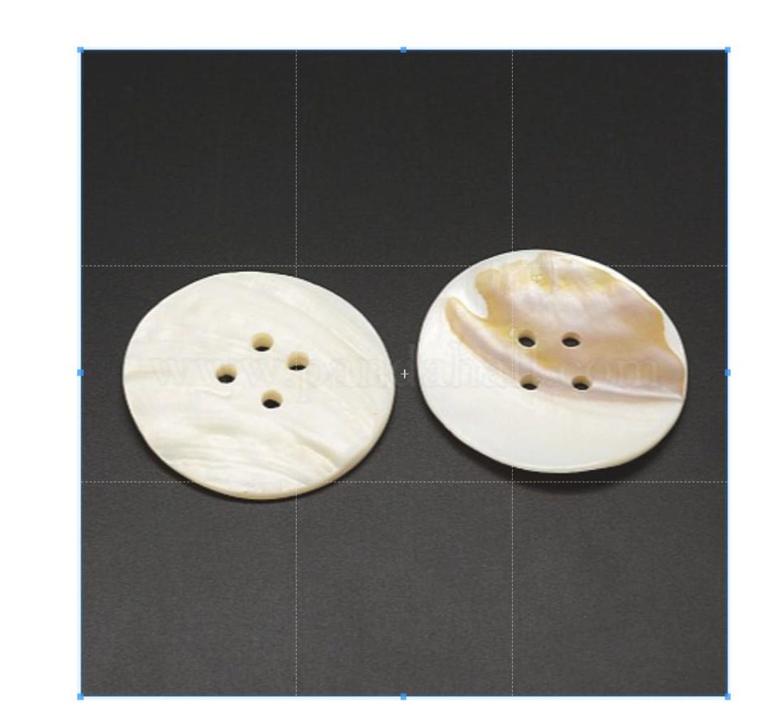 Large Shell Buttons Extra Large Shell Buttons - Freshwater Shell Buttons - 2 Inch - 5cm ...