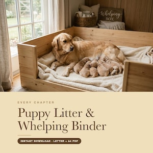 Könnte beinhalten: Eine helle Holzwurfkiste mit einer Golden Retriever Hündin, die einen Wurf kleiner Welpen auf einer cremefarbenen Decke säugt. Das Bild enthält den Text: EVERY CHAPTER Puppy Litter & Whelping Binder INSTANT DOWNLOAD LETTER + A4 PDF.