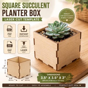 Puede incluir: Una caja cuadrada de madera para plantas suculentas con juntas entrelazadas. La caja mide 89 mm por 89 mm por 76 mm. Contiene una planta suculenta verde y piedras pequeñas. El texto incluye SQUARE SUCCULENT PLANTER BOX.
