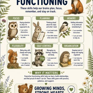 May include: An educational poster titled Executive Functioning featuring a fox and woodland animals. It lists six skills: focus, planning, memory, flexibility, self-control, and organization, each with bullet points and illustrations of animals.