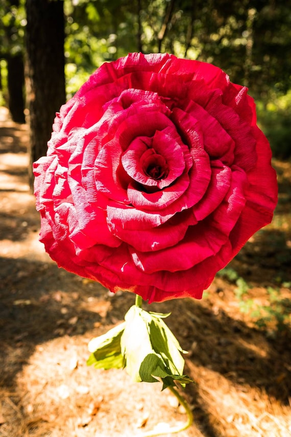 CENTRAL AR ONLY Custom Order Giant Crepe Paper Self Standing Flower Large Rose Peony Bloom Red Crimson Ruby Green