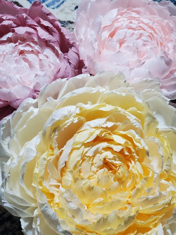 CENTRAL AR ONLY Custom Giant Paper Self Standing Flower Large Peony Rose Poppy Royal Yellow Purple Red White Ivory Cream Pink Blue Green