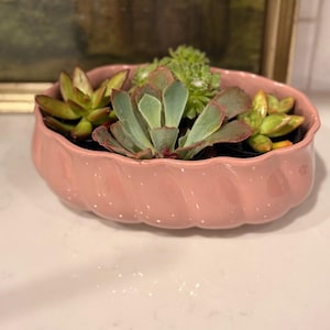 May include: An oval-shaped, light pink ceramic planter with a scalloped, fluted exterior design. The planter contains a variety of small, fleshy succulents in shades of green, light blue, and reddish-brown, arranged together in the central basin.