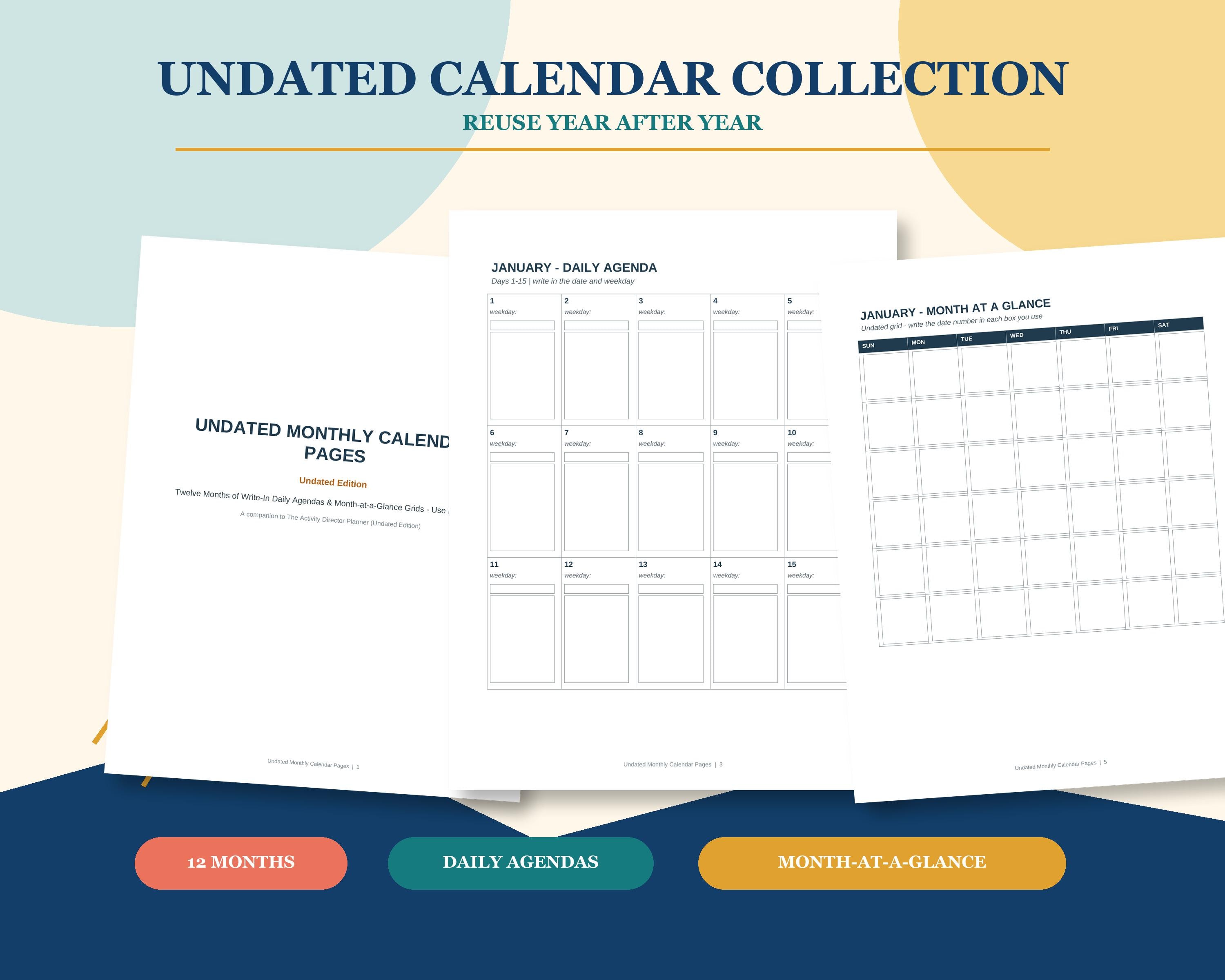Activity Director Planner Bundle, Fillable PDF & Printable, Senior Living Activity Calendar and Documentation Logs preview 4
