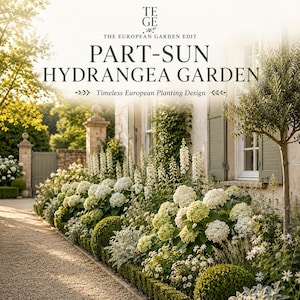 Puede incluir: Una escena de jardín con flores de hortensia blancas, espigas de flores blancas altas y arbustos verdes cuidados a lo largo de un camino de grava. El texto dice: TE GE, THE EUROPEAN GARDEN EDIT, PART-SUN HYDRANGEA GARDEN, Timeless European Planting Design.