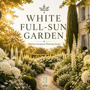 Könnte beinhalten: Ein Gartengestaltungsleitfaden mit dem Titel WHITE FULL-SUN GARDEN Timeless European Planting Design und dem Text TE GE. Das Bild zeigt einen Kiesweg, der von weißen Hortensien und hohen weißen Blumen gesäumt ist und zu einem Steinhaus bei Sonnenuntergang führt.