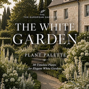 Può includere: Una guida digitale intitolata The European Garden Edit: The White Garden Plant Palette, che presenta 30 Timeless Plants for Elegant White Gardens. La copertina mostra una casa in pietra accanto a un sentiero di ghiaia con fiori bianchi.