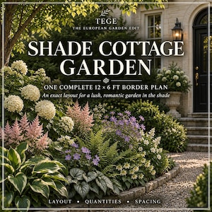 Puede incluir: Un plan de diseño de jardín titulado TEGE THE EUROPEAN GARDEN EDIT SHADE COTTAGE GARDEN ONE COMPLETE 12 x 6 FT BORDER PLAN. La imagen muestra un jardín exuberante con hortensias blancas, astilbes rosas, flores moradas y follaje verde.