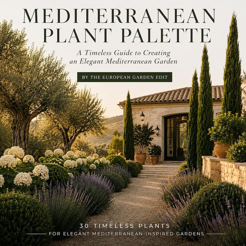 The Mediterranean Plant Palette, a timeless guide to creating an elegant Mediterranean garden by The European Garden Edit