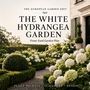 Peut inclure: Un plan de jardin de devant intitulé THE EUROPEAN GARDEN EDIT THE WHITE HYDRANGEA GARDEN. L'image montre une allée en gravier bordée de haies de buis vertes taillées et de nombreux buissons d'hortensias blancs en fleurs, près d'un bâtiment.