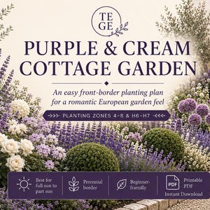 Könnte beinhalten: Ein digitaler Pflanzplan mit dem Titel Purple & Cream Cottage Garden von TEGE. Die Grafik zeigt violette und cremefarbene Blumen, grüne Sträucher und Text zu den Pflanzzonen 4-8 & H6-H7, Sonnenanforderungen sowie einen PDF-Download-Hinweis.