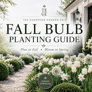 Op de afbeelding: Een digitale gids getiteld TE GE The European Garden Edit Fall Bulb Planting Guide Plan in Fall Bloom in Spring Instant Download. De tekst is geplaatst over een tuinscène met witte tulpen, alliumbloemen en verzorgde groene struiken.