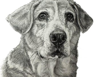 Custom Pet Portrait Drawing | Personalized Dog Portrait | Hand Drawn Pet Memorial Art | Wildlife & Exotic Pet Commission