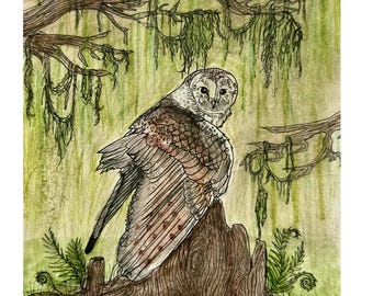 Barn Owl in Swamp Print