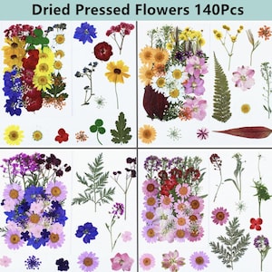 Könnte beinhalten: Eine Sammlung von 140 getrockneten, gepressten Blumen und Blättern in verschiedenen Farben wie Gelb, Blau, Rot, Rosa, Violett und Grün. Das Set enthält verschiedene Blütenformen, Blütenblätter und Blattwerk, die in einem Raster angeordnet sind.