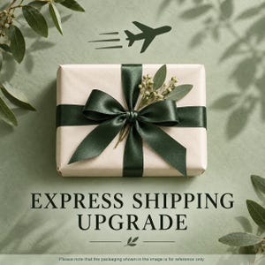 May include: A rectangular gift box wrapped in light beige paper, tied with a dark green satin ribbon bow, and decorated with a small sprig of green leaves. Above the box is a dark green aeroplane icon, and below is the text EXPRESS SHIPPING UPGRADE.