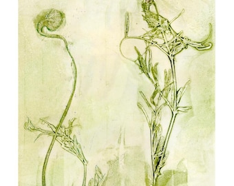 Botanical Print, Limited Edition from Unique Gelli Print