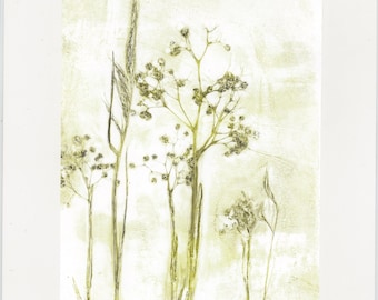 Unique Botanical Monoprint, One of a Kind, Gelli print, Wild Grasses & Seed Heads