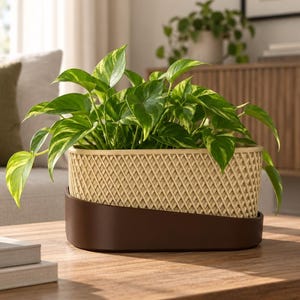 May include: A green pothos plant sits in an oval planter featuring a cream-colored lattice-patterned upper section and a solid dark brown base. The planter has a two-tone design with a smooth, curved bottom piece and a textured top.