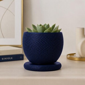 Puede incluir: Una maceta esf&eacute;rica de color azul oscuro con una textura de rejilla en forma de diamante en toda su superficie. La maceta se asienta sobre una base circular a juego y contiene una planta suculenta verde claro con hojas gruesas y puntiagudas.