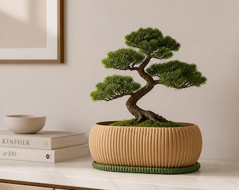 Zephyr / Maceta para bonsáis / Jarrón minimalista moderno impreso en 3D / Decoración Japandi y escandinava
