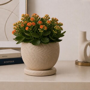 Puede incluir: Una vibrante planta Kalanchoe con racimos de peque&ntilde;as flores naranjas y hojas festoneadas de color verde oscuro, plantada en una maceta de cer&aacute;mica redonda de color crema con un patr&oacute;n de puntos perforados y una base circular.
