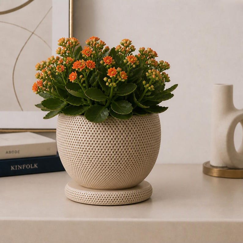 Puede incluir: Una vibrante planta Kalanchoe con racimos de peque&ntilde;as flores naranjas y hojas festoneadas de color verde oscuro, plantada en una maceta de cer&aacute;mica redonda de color crema con un patr&oacute;n de puntos perforados y una base circular.