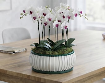 Maceta bicolor Taveiro / Decoración minimalista para el hogar impresa en 3D (Placa de goteo atornillable)