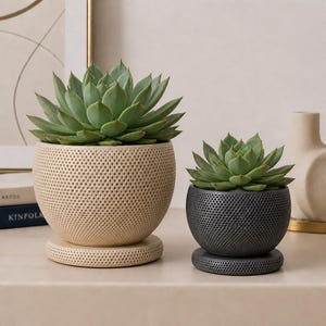 Puede incluir: Dos macetas redondas y perforadas con platos a juego, cada una con una planta suculenta verde. La maceta m&aacute;s grande es de color crema y la m&aacute;s peque&ntilde;a es gris oscuro. Ambas presentan una textura consistente de puntos finos.