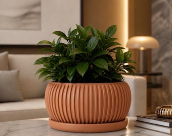 Maceta Taveiro / Maceta baja minimalista moderna con plato de goteo atornillable / Decoración del hogar
