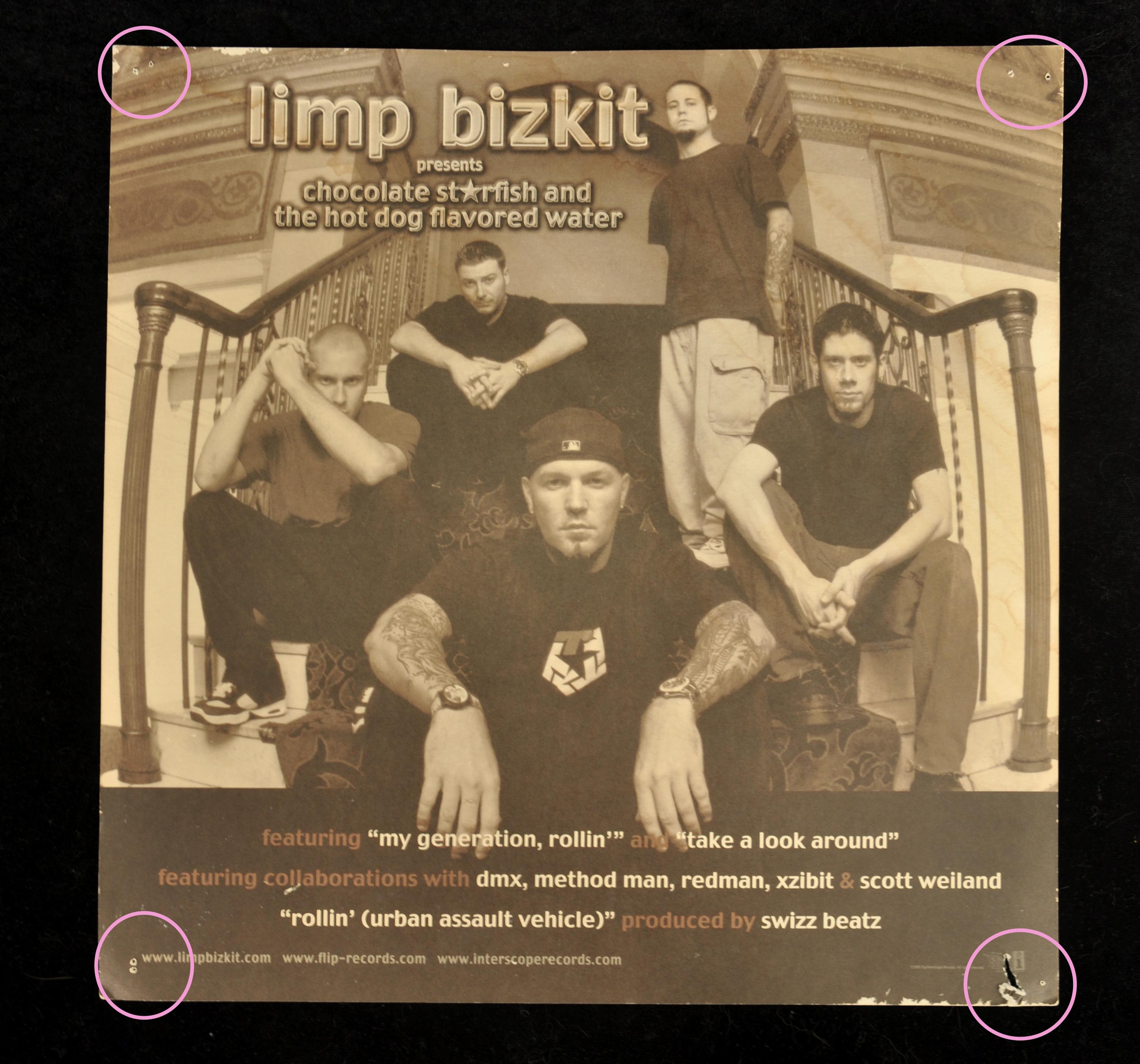 Limp Bizkit Chocolate Starfish and the Hot Dog Flavored