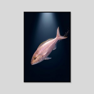 Peut inclure: Un vivaneau rose nageant en diagonale vers le haut sur un fond bleu foncé profond. Le poisson présente un corps rose pâle avec de fines rayures horizontales jaunes sur le côté, une nageoire dorsale pointue et de petites bulles près de la queue.