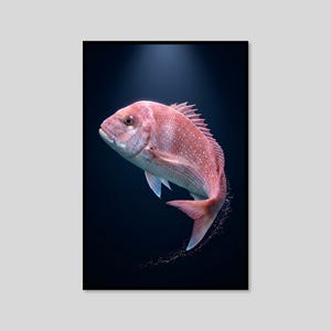May include: A pinkish-red snapper fish swimming upward against a dark blue background. The fish features detailed scales, a prominent dorsal fin, and a tail fin with small bubbles trailing behind it, illuminated by a soft light from above.