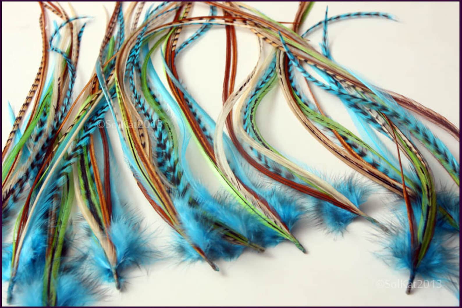 длинное перо петуха узкое. перья декоративные. длинные перья. длинные перья. длинные перья.