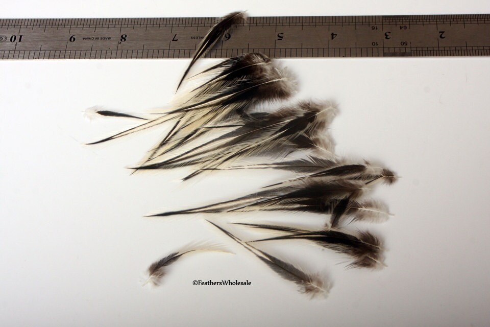 30 Small Black White Feathers for Crafts Pointy V Shaped Etsy