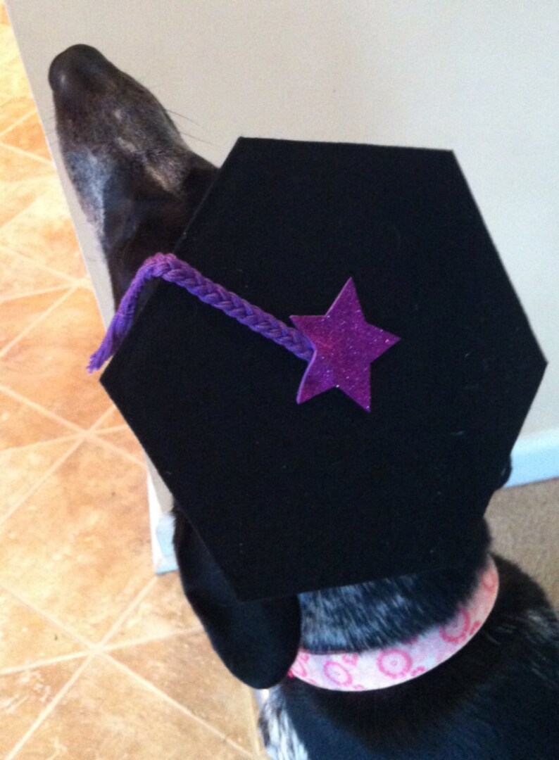 Dog Graduation Cap / Hexagon Tam Etsy