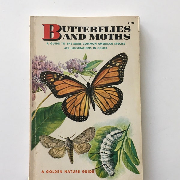 Butterfly book / Vintage Golden Guide Butterflies and Moths #24413 w/Color illustrations Softcover 1964 Very Good condition