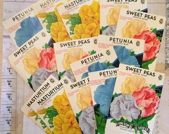 Vintage Stationery ~*~ Current ~*~ Fold A Note ~*~ Sweet Peas /& Nasturtiums ~*~ In The Garden