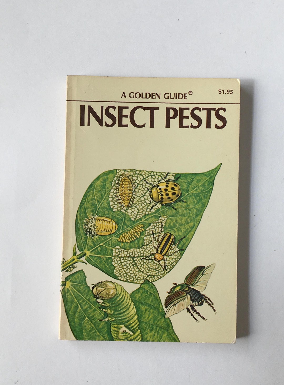 INSECTS Book / Vintage Golden NATURE Guide Insect Pests #24016 Full ...