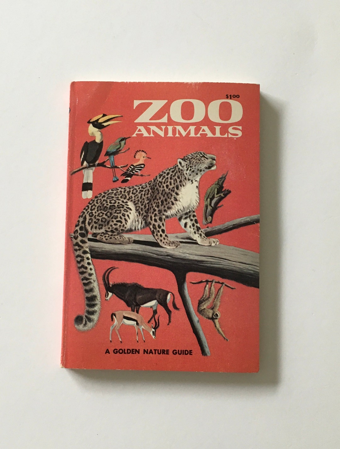 Animal Book / Vintage ZOO Animals Golden NATURE Guide 24019 W/color