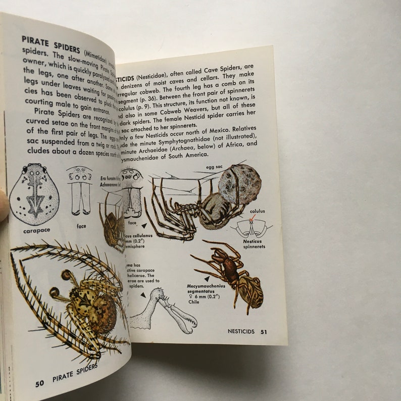 May include: An open book page 50 and 51 featuring detailed black and white and color illustrations of spiders. The text includes headers for Pirate Spiders and Nesticids, with labels for anatomy like carapace, face, and egg sac, plus a 0.2 inch measurement.