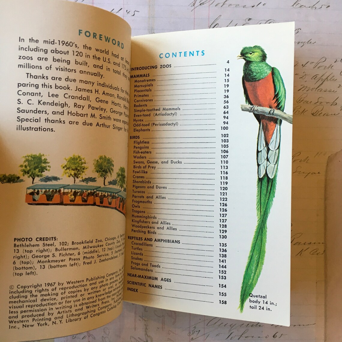 Animal Book / Vintage ZOO Animals Golden NATURE Guide 24019 Etsy