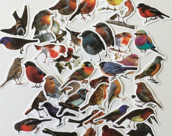 BIRD Stickers / 40 Bird stickers Scrap Pieces great for Altered Art, Collage, Scrapbook