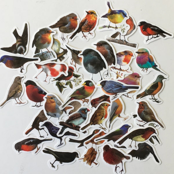 BIRD Stickers / 40 Bird stickers Scrap Pieces great for Altered Art, Collage, Scrapbook