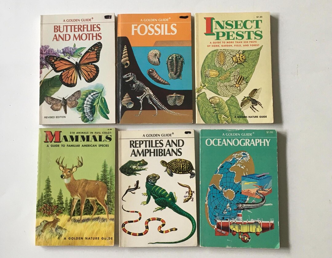 Golden Guide / 1 Golden Guide - Butterflies, Fossils, Insects, Mammals
