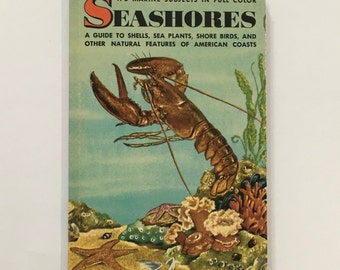 SEASHORES / vintage Golden Guide SEASHORES Guide to Shells, sea plants, shore birds 1955 Very Good Condition