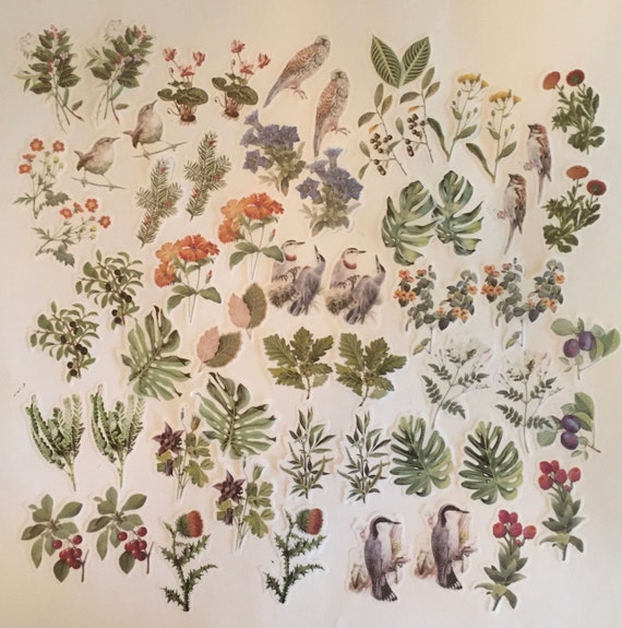 Sticker Pack / 60 Pc. Vintage Style Botanical Stickers Flowers